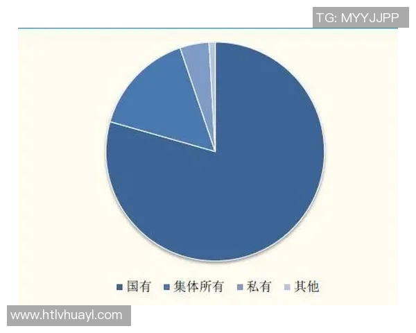 武汉足球队运营模式解析与未来发展展望 武汉足球队运营模式解析与未来发展展望