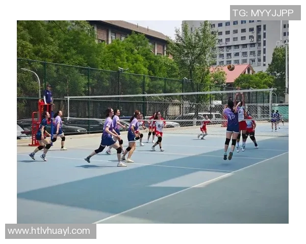 最新排球节奏排行榜揭晓北京排球队稳居榜首引领风骚